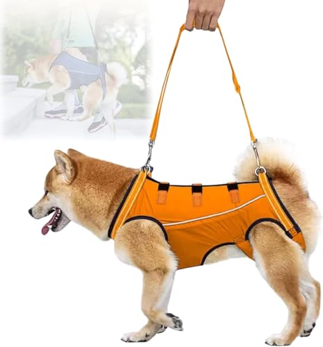 Waraku Market-pn[lX  pn[lX s⏕ V  pi EȒP V//p//aC ^ ^   r Q nr U  ̑Oƌ둫̕⏕ o֗ (IWF,L)