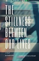 The Stillness Between Our Lives 0692089128 Book Cover
