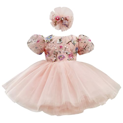 Flower Girls Toddler Dress Embroidered Tulle Dress for Birthday Princess Tutu Dresses Baby Girl Special Occasion