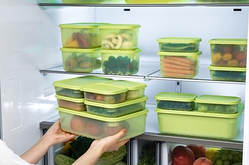 Image of LocknLock Fresh-Block Plastic Food Storage Container | Produce Storage Containers for Fridge | Vegetable & Fruit Storage Containers for Fridge, Storage, Microwave & Dishwasher Safe, 1.5L