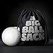 XXL 4 inch Dryer Balls | 100% New Zealand Wool Dryer Balls | Twice (2X) The Size of Other Balls | Shorten Drying Time | Reduce Static & Wrinkles Faster | Dryer Sheet & Fabric Softener Alternative