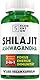 Shilajit Kapseln Hochdosiert - 10.000 mg pro Tagesdosis (10:1 Extrakt) +71% Fulvinsäure +15% Huminsäure - 3 Monate Vorrat (180 Kapseln) - 100% Vegan, Ausdauer und Vitalität für Männer & Frauen