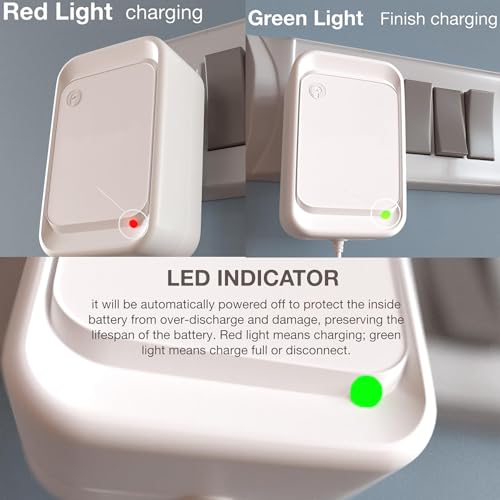Image of Wishmaster Kids Ride On Bike Charger for All Types 12V