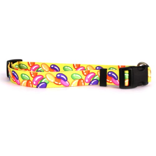 Yellow Dog Design Jelly Beans Dog Collar 3/4' Wide and Fits Neck 10 to 14', Small, Multi-Color, (JB103)