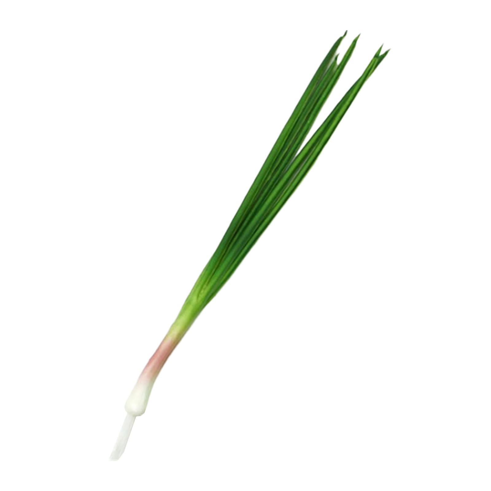 Tsophreniq Realistic Artificial Garlic Sprouts/Scallions Model Food Placement Display Photoshoots Props for Home Restaurants Decor Onion Display Decor