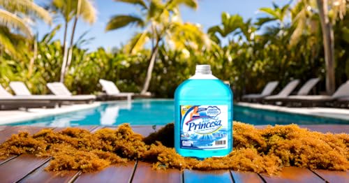 Set, Shoes Imagen adicional