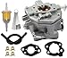 Cylinman Carburetor Fit for Briggs and Stratton 305442 305445 305446 305447 809011 846109 843324 845906 844041 844988 844039 846082 Vanguard 16hp Engine Carb