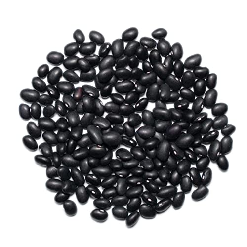 1000 Springs Mill 25Lb Bulk Bag Organic Black Beans thumb #5