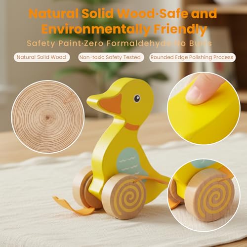 Image of Wooden Push Toys for Toddlers 1-3, Baby Pull Along Stick Walking Duck | Montessori Early Development Toy for 1 Year Old Girls Boys Birthday Gift