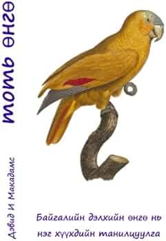 Er ozining etuk xotinining mushukiga tushdi Er ozining etuk xotinining mushukiga tushdi