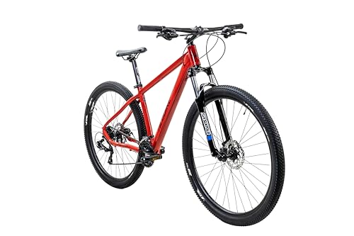 Catálogo para Comprar On-line Bicicleta alubike Top 5. 11 Imagen adicional