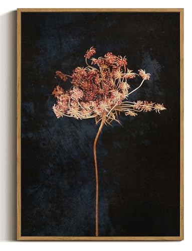 WALLZK Vintage Framed Wall Art Moody Botanical Wall Decor Dark