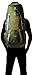 Deuter ACT Lite 65+10 Hiking Backpack (Pine/Granite)