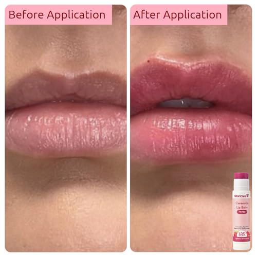 Image of WishCare SPF 50 Head-to-Toe Sun Protection Range | Sunscreen Body Lotion + Niacinamide Face Sunscreen + SPF Lip Balm | Lightweight, Non Greasy & No White Cast | 200ml + 50g + 5g