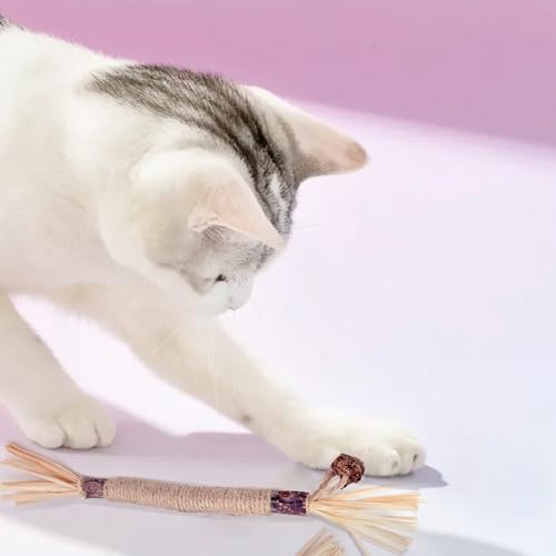 ANMOYIXIA Katzenminze Sticks Kaustangen Katze Katzensticks Katzen Kauhölzer Sticks für Katzen Zahnpflege und Gegen Mundgeruch (3 Stück)