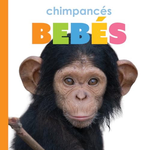 Chimpances bebes (Spanish Edition)