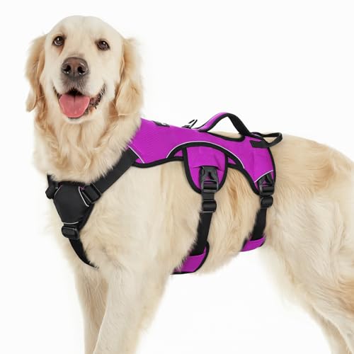 rabbitgoo Escape Proof Dog Harness, Soft Padded Full Body Pet Harness, Reflective Adjustable No Pull Vest with Lift Handle and Lesh Clip for Large Dogs Walking Hiking Training, L, Purple