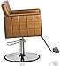 Salon Style Gold Hair Salon Styling Barbering Chair Prime Salon Equipment