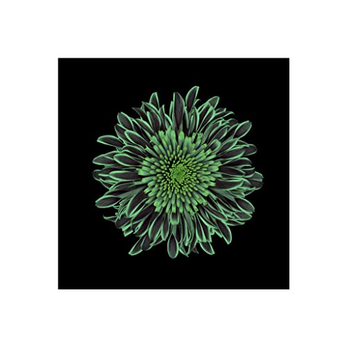 Tableau fleurs lumineux pour apaiser vos nuits dans l'obscurité 80x80