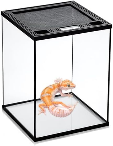 Amazon | 爬虫類 ケージ グラステラリウム 飼育ケース 大 爬虫類