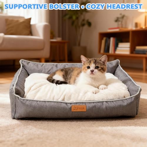 LxsNyvantic Hundebett 90×60×(18,5+10) cm Grau, Bequemes Hundekorb Mit Abnehmbarem Innenkissen, Waschbares Hundesofa Aus Oxfordgewebe & Geruchsregulierendem Kurzplüsch, Für Haustiere Bis 20 Kg