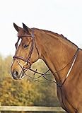 Busse Martingal CAMBRIDGE, Warmblut, cognac/Edelstahl