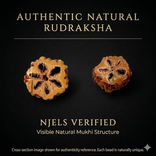 Image of Njels 925 BIS Hallmark Silver Original Rudraksha Mala for Men | 5 Mukhi 6MM Size and 54 Rudraksha Beads | Gemmological Lab Certified Ruthratcham Malai for Men