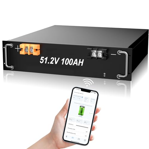 NebuQuic 48V 100Ah Battery