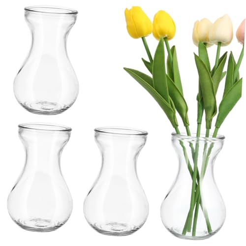 INOOMP 4 pièces Lot de Petits Vases Verre Transparent pour Jacinthe Décorations Dintérieur Élégantes et Contenants Hydroponiques pour Plantes et Fleurs