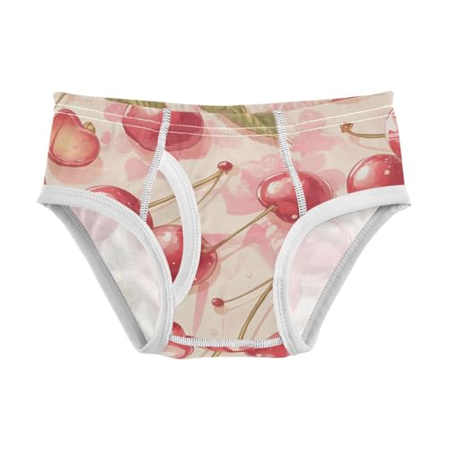 KLL Red Cherry Boys Toddler Cotton Boxer Briefs Breathable Undies