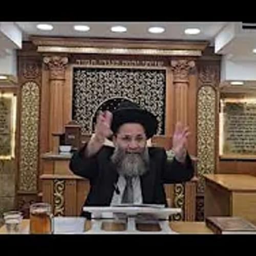 הרב גיא לוטינגר מעלת החסד והכנה ל ט' באב