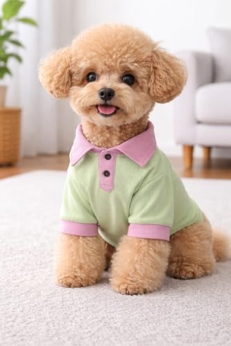 Image of Dog Polo Shirt, Green and Pink Color Block, Ribbed Cotton Pet Clothing with Collar and Buttons