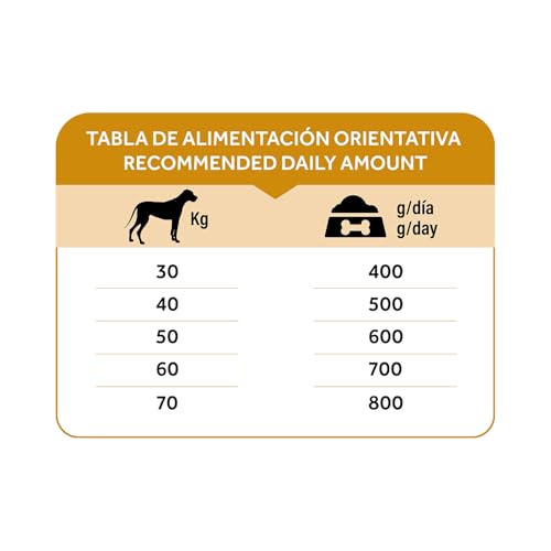 Dibaq Natural Moments 5 Star Truthahn & Huhn Adult Large, Alleinfuttermittel für große Hunde, Low Grain mit Reis, GVO‑frei, 12 kg