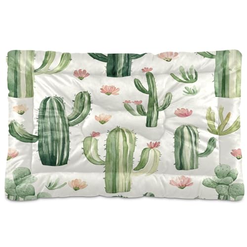 Fuauuyl Alfombrilla suave para cama de perro con diseño de cactus de acuarela, lavable a máquina, con parte inferior antideslizante para dormir de perro, 61 x 45 cm