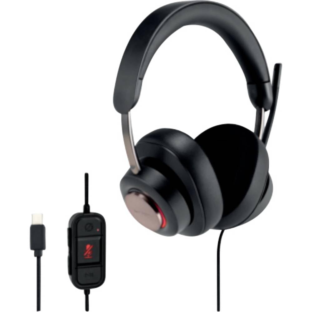 Kensington H2000 - Casque Audio USB-C avec Micro, Compatible avec Windows & Mac, avec Technologie Antibruit & Câble de 1,8 m (K83451WW)