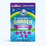 Arctic Farms Freeze-Dried Wild Blue Huckleberries - Large (3.75 oz) | 100% Real, No Sugar Added, Nothing...