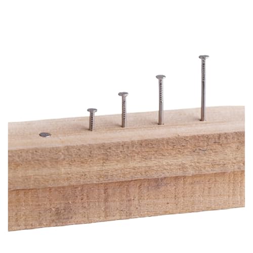 Clavos pequeños redondos de acero inoxidable 304 para carpintería, 50 piezas de 1.5 pulgadas miniatura 4