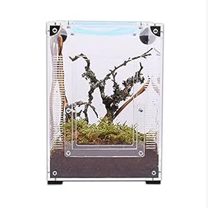 TSS Mantis Starter Kit – Complete mantis starter kit