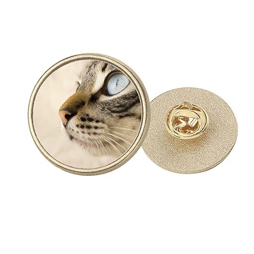 Broche chaton yeux bleus, un regard tendre en métal doré à porter partout