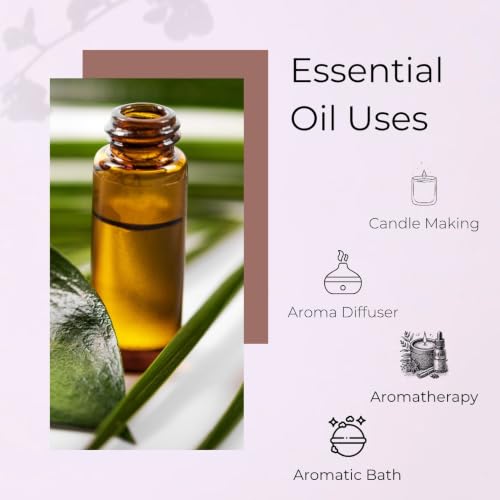 Image of Mugwort Essential Oil (Artemisia vulgaris) Pure | Non-Sticky | Lightweight | Steam Distilled | All Skin Type | Men & Women (5ml)