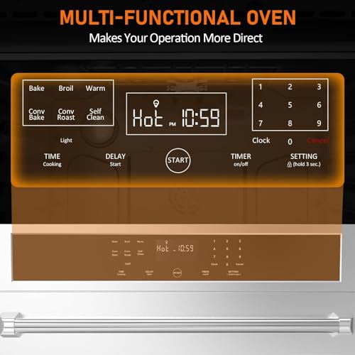 30 Inch Built-in Electric Wall Oven,4.8 Cu.Ft Stainless Steel with Self-Cleaning,Touch Glass Control & Child Safety Lock,3800W Convection System,Blue Enamel Interior