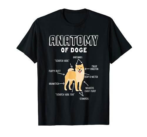 Doge Meme: Anatomia di uno Shiba Inu - Cani