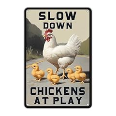 Slow Chickens At Play