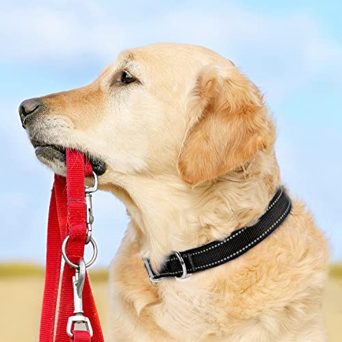 Collar para perro TwoEar con hebilla metálica y nylon transpirable miniatura 5