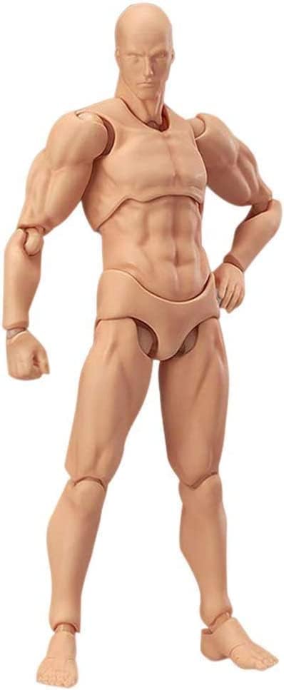 Artists Manikin Blockhead Jointed Mannequin Drawing Figures Female+Male Mannequin Model for Drawing, Painting, Sketching. Improve Your Drawing Skills Now
