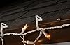 Adams Christmas 9040-22-9553 All Purpose Light Holder, 500-Pack #3