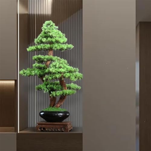Simulation de bonsaï de pin pour sublimer l'entrée d'un hôtel