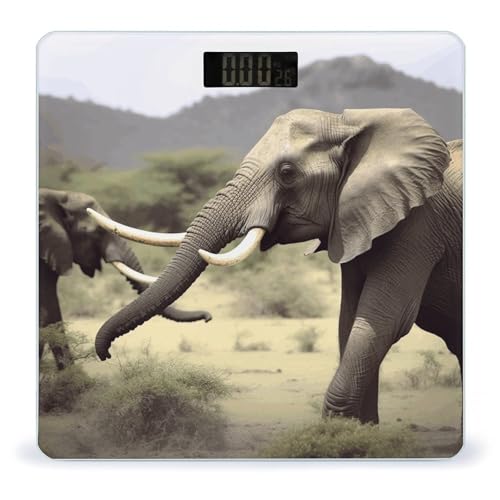 Elephants Animals Balanzas Digitales de Baño con LCD