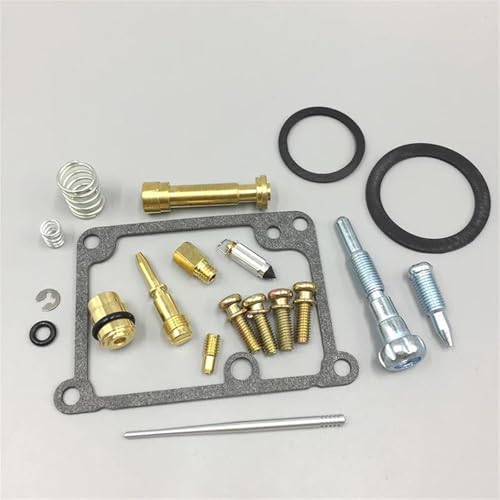 Kit réparation carburateur Blaster 200 pour stopper les fuites