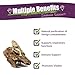 AMBER NATURALZ Reptaid Herbal Supplement for Small Reptiles | Herbal Pet Supplement for Immune Support | for Reptiles Under 250g | 1 Fluid Ounce Glass Bottle | Manufactured in The USA